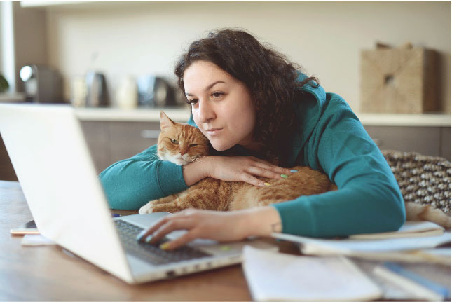 video woman cat laptop